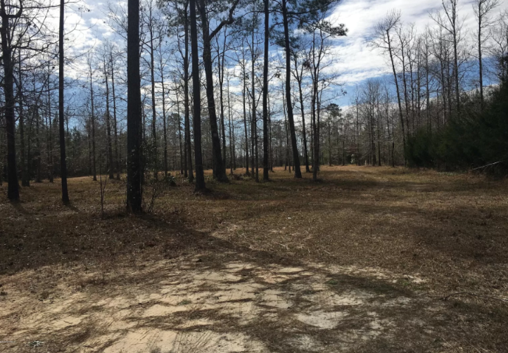 6.46 Acres Close to Croatan National Forest & Ideal for Modular Homes
