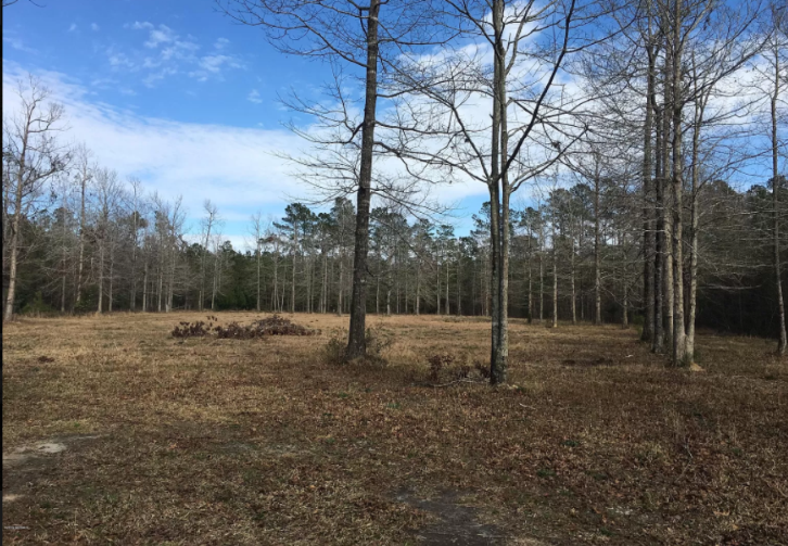 6.46 Acres Close to Croatan National Forest & Ideal for Modular Homes