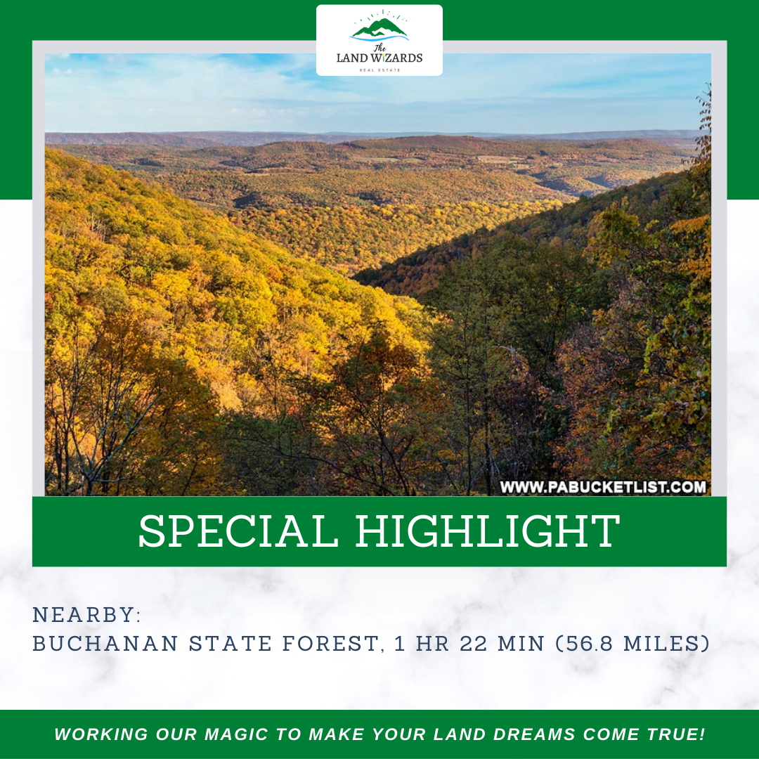 5 unrestricted acres waiting for you in Almost Heaven West Virginia!